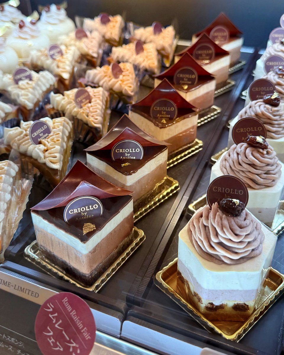 たまねこ (@memory_pool) / Posts / X