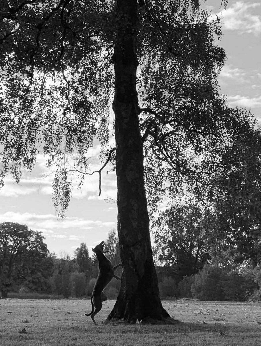 Teach Carraig (@teachcarraig) on Twitter photo 