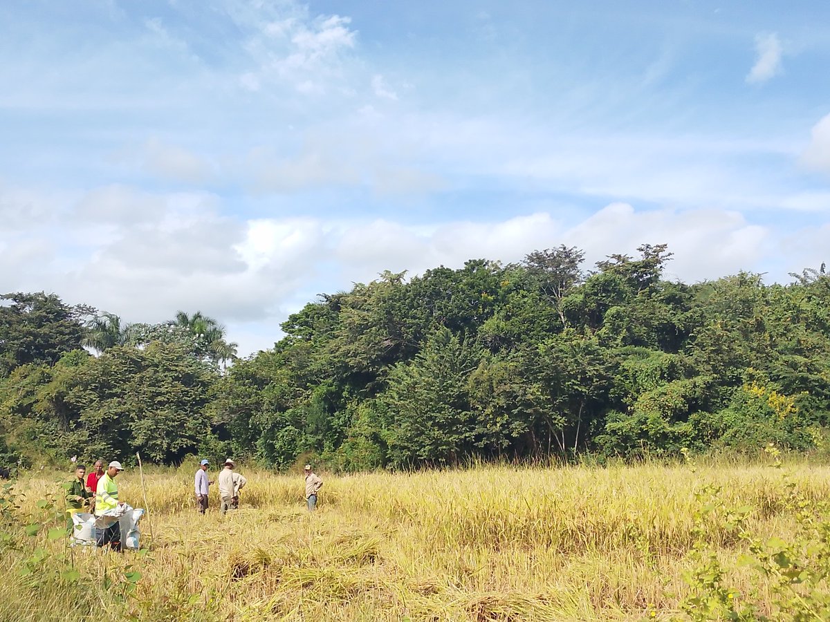 MiriamMartnezV6's tweet image. Hoy en  visita de trabajo a la  comunidad
 La Peña  enclavada en el Turquino #MinasDeMatahambre apreciamos materializa de acuerdos de la asamblea municipal, y consejo popular para dar seguimiento a los barrios o zonas intrincadas en transformación #PoderDelPueblo