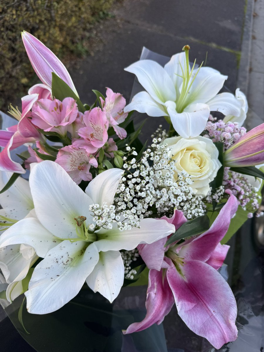 sadr4z's tweet image. 