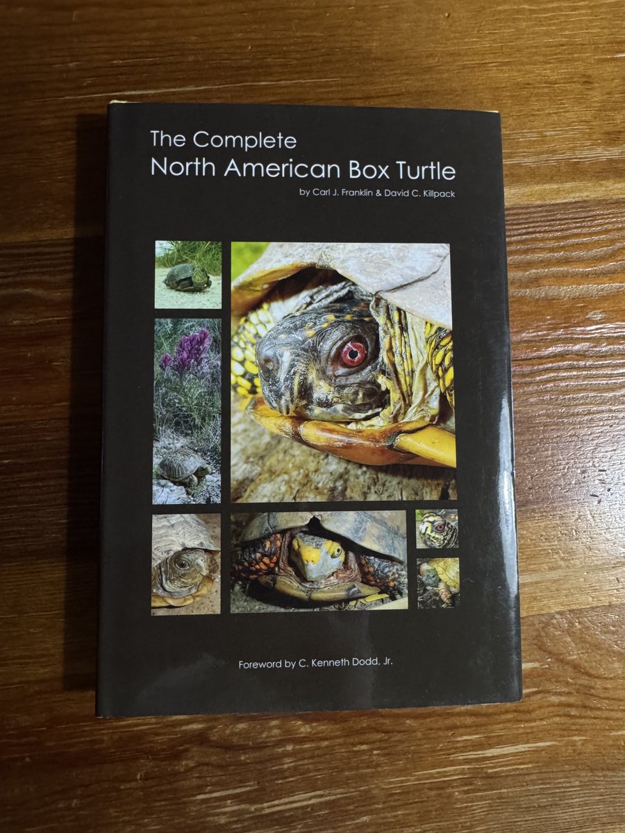 ととかめ屋（冬眠中） on X