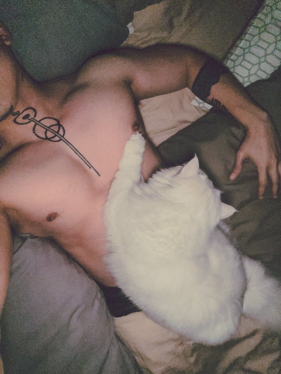 Jorod📷🇦🇪 tweet media