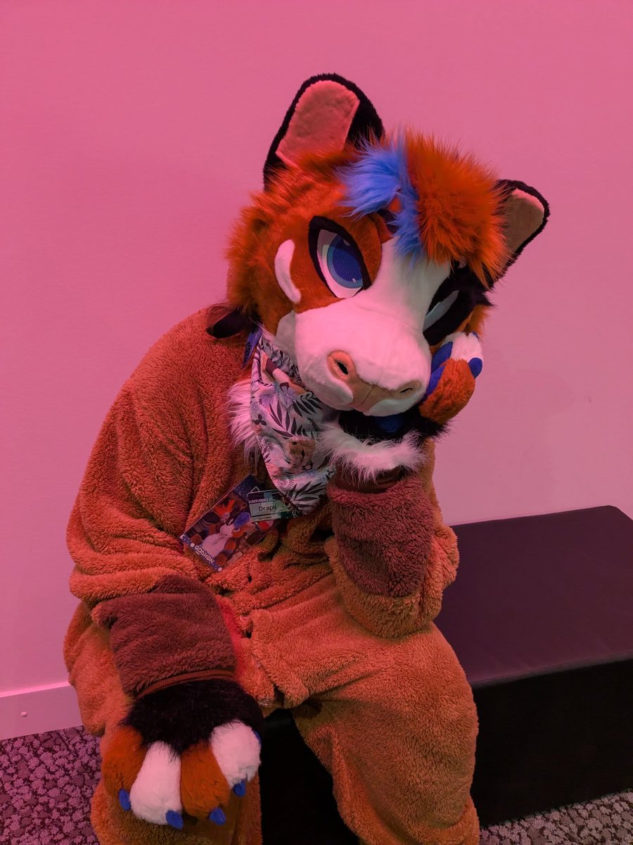 It's a guinea pig UwU, Bodysuit in preparation x3
from #NFC2025
<a href="/NordicFuzzCon/">NordicFuzzCon</a>