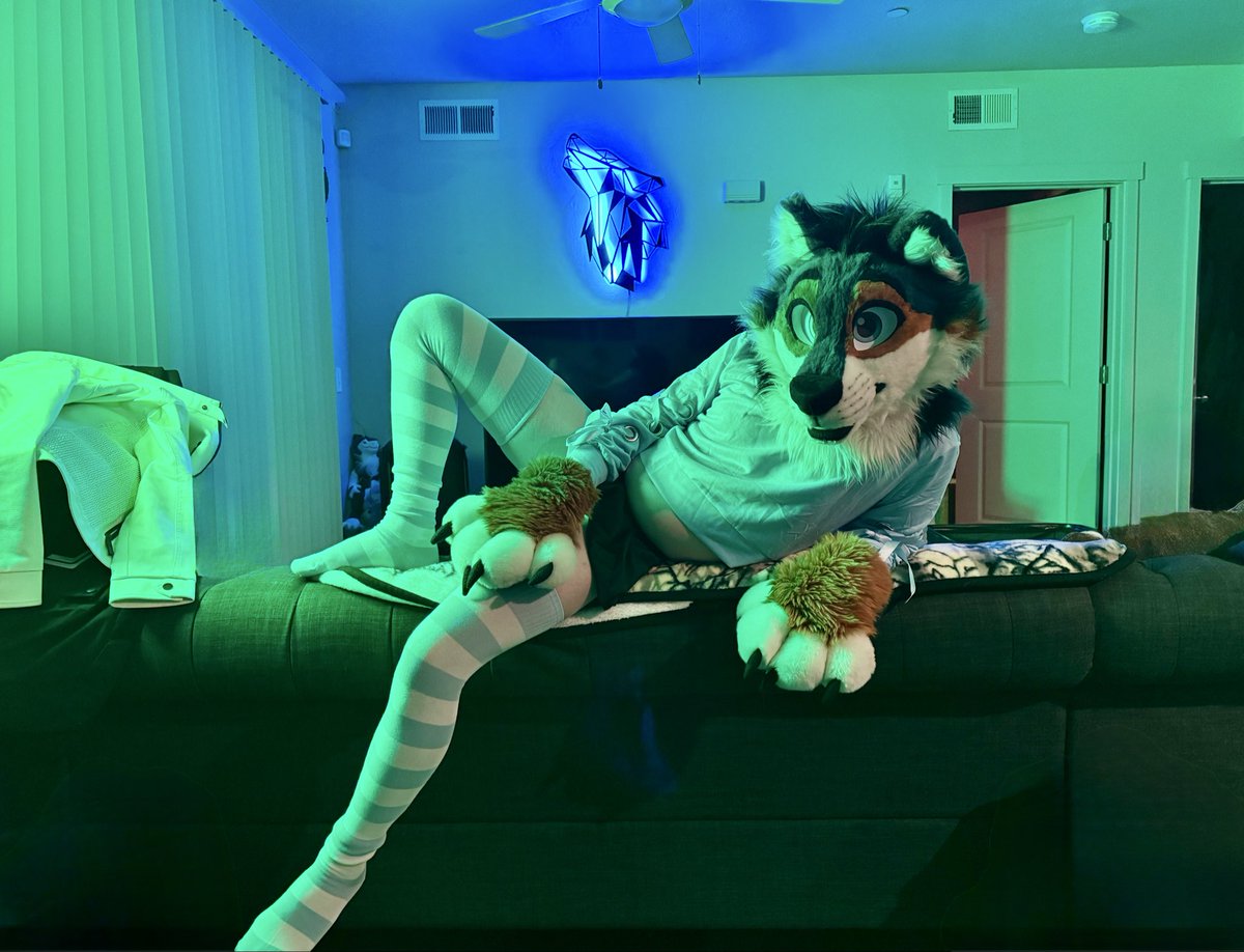 Dog on the couch?? 😳

📸 <a href="/Kamots_Wolf/">Kamots</a>