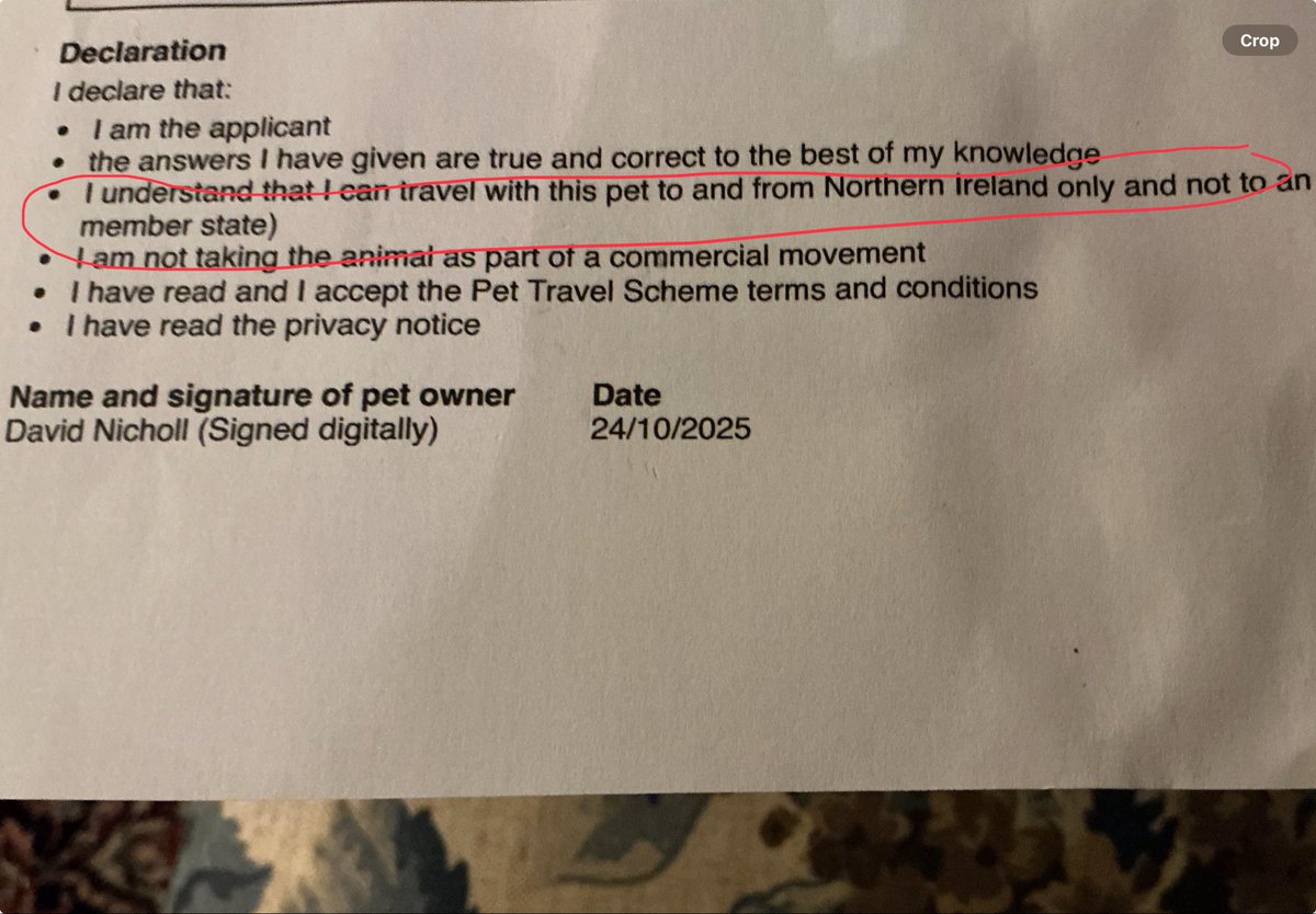 Dr David Nicholl tweet media