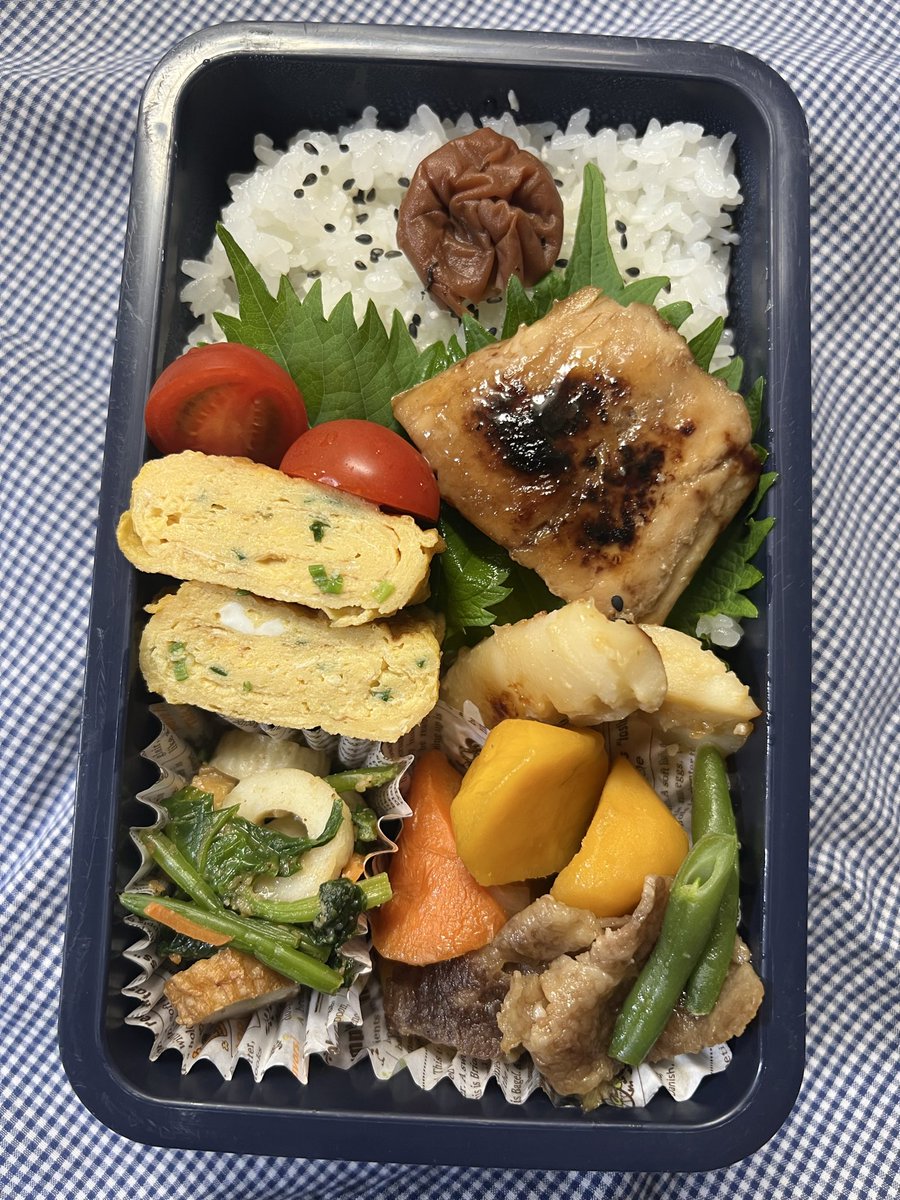 さぼてん (@hrsgjktdv) / Posts / X