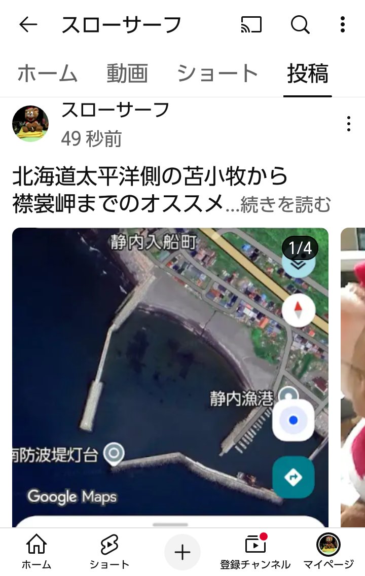 やわたろう🐱くまたろう🐻 on X