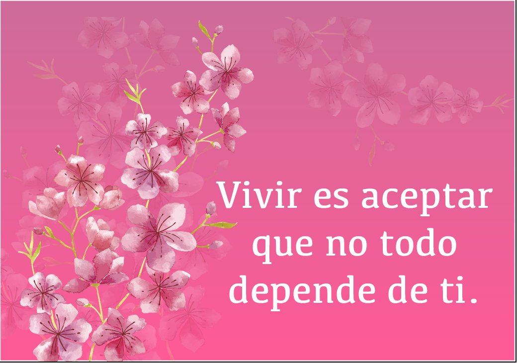 Llegó el 11 del 11

Bendecido, alegre y pausado día