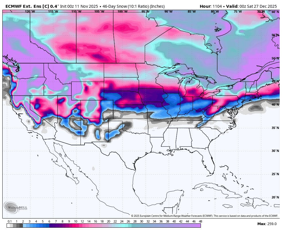 Forecast Office Toronto tweet media