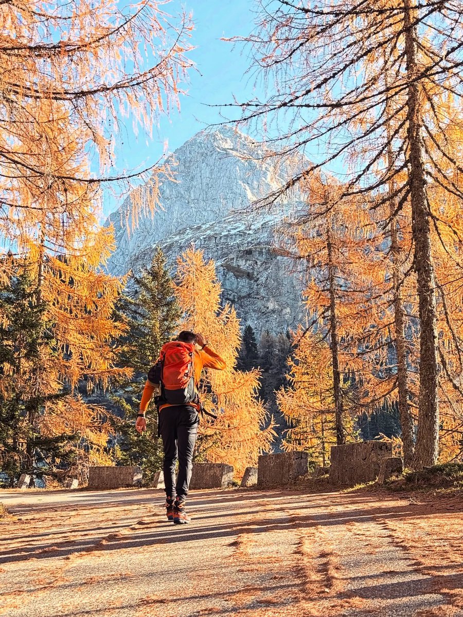 ExploringSlo's tweet image. The road to the Mangart Saddle at its finest — beautiful with autumn colors and completely silent, as it’s closed to cars. 🍂🍁👌
Photo by 📸 @aljazhlis__