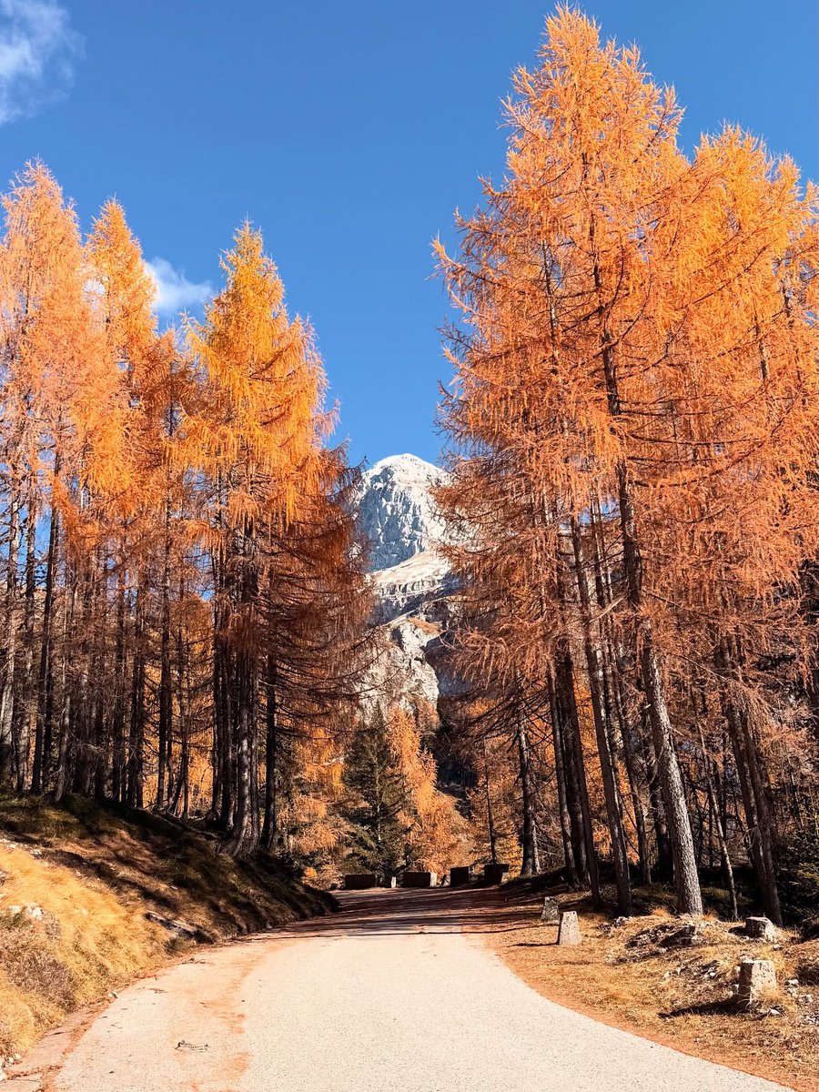 ExploringSlo's tweet image. The road to the Mangart Saddle at its finest — beautiful with autumn colors and completely silent, as it’s closed to cars. 🍂🍁👌
Photo by 📸 @aljazhlis__