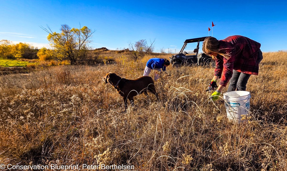 Conservation Blueprint tweet media