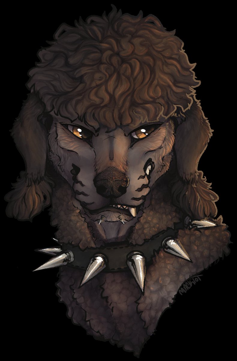 Mackiot's tweet image. Opening pet portraits!(will do OCs too!) 50$ USD, I can take paypal or venmo, want something different? Feel free to ask! I need to make some money by the end of the week, so lowkey emergency?
The corded poodle is an older example, but the brown poodle is more recent!