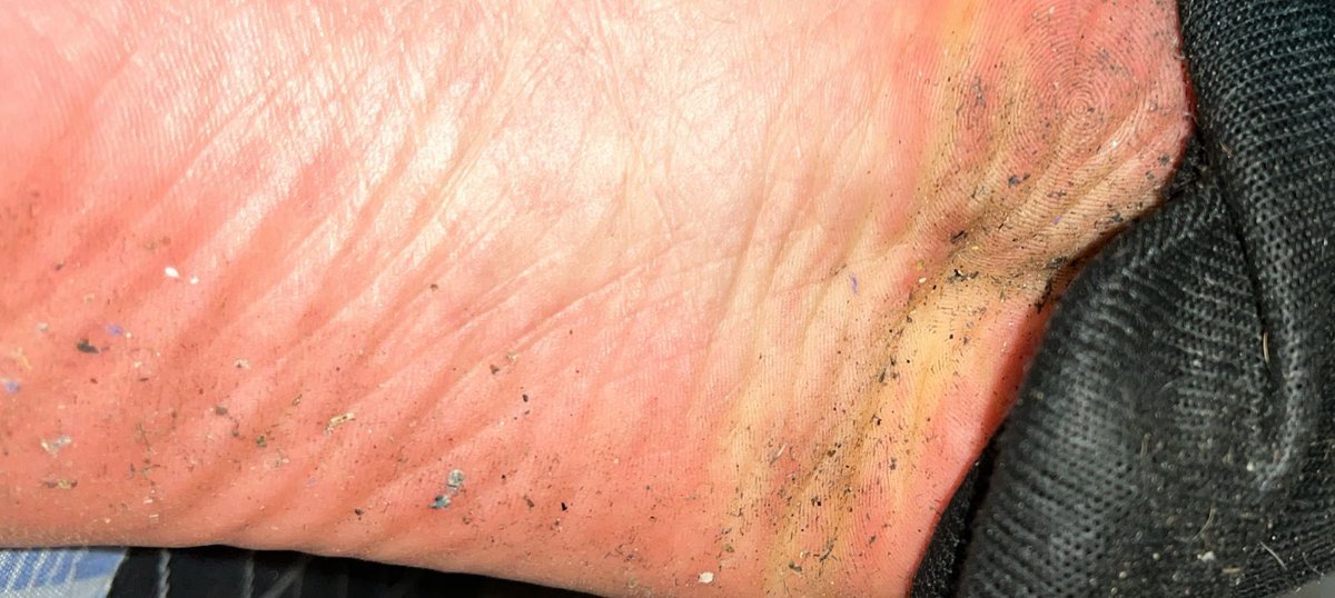 Princesa Uni tweet media