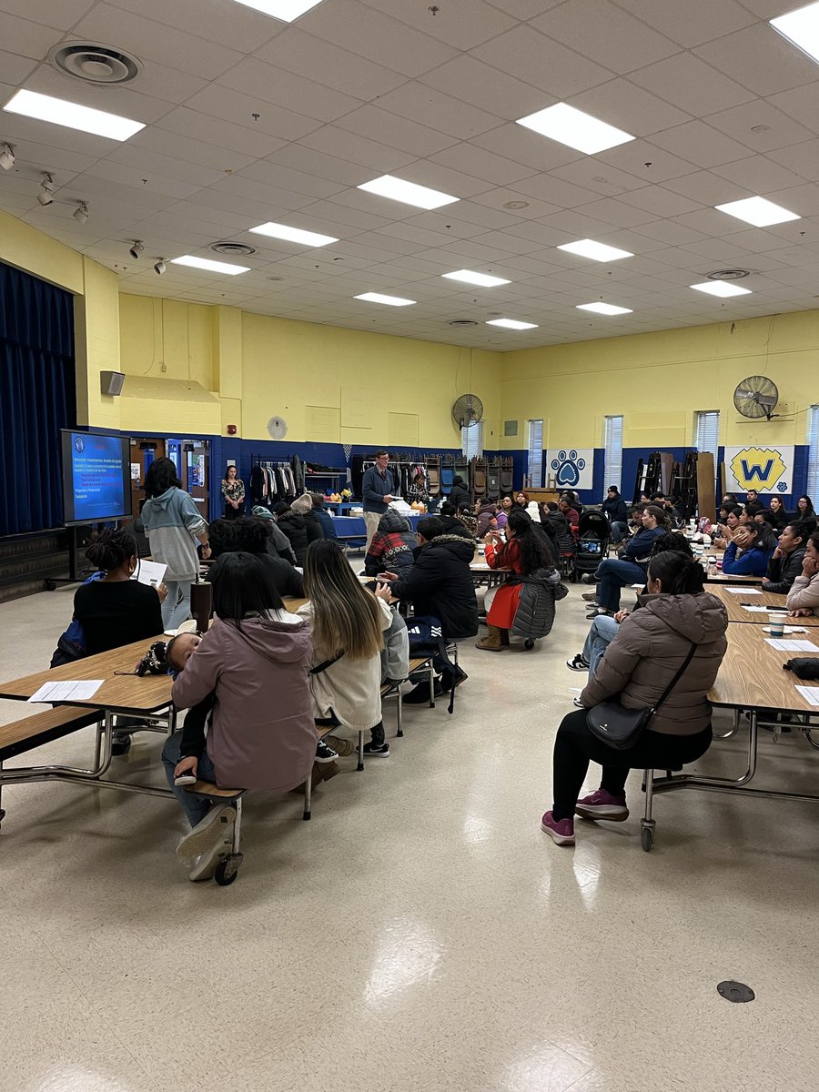 Elisabeth Halici tweet media