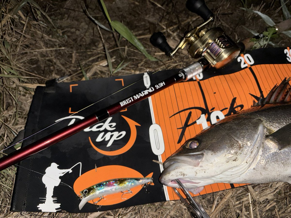 ビッグベイトシーバスが釣りたくてマリノ9.9で出撃！ まずは様子見で