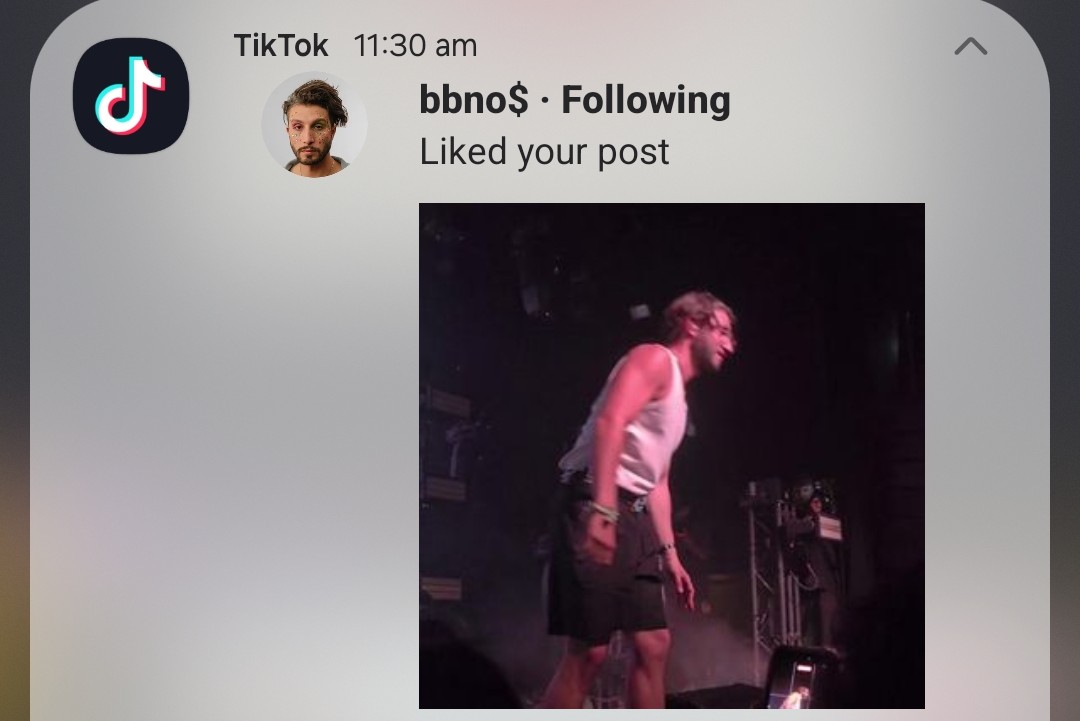 LucyQueenOfChaos tweet media