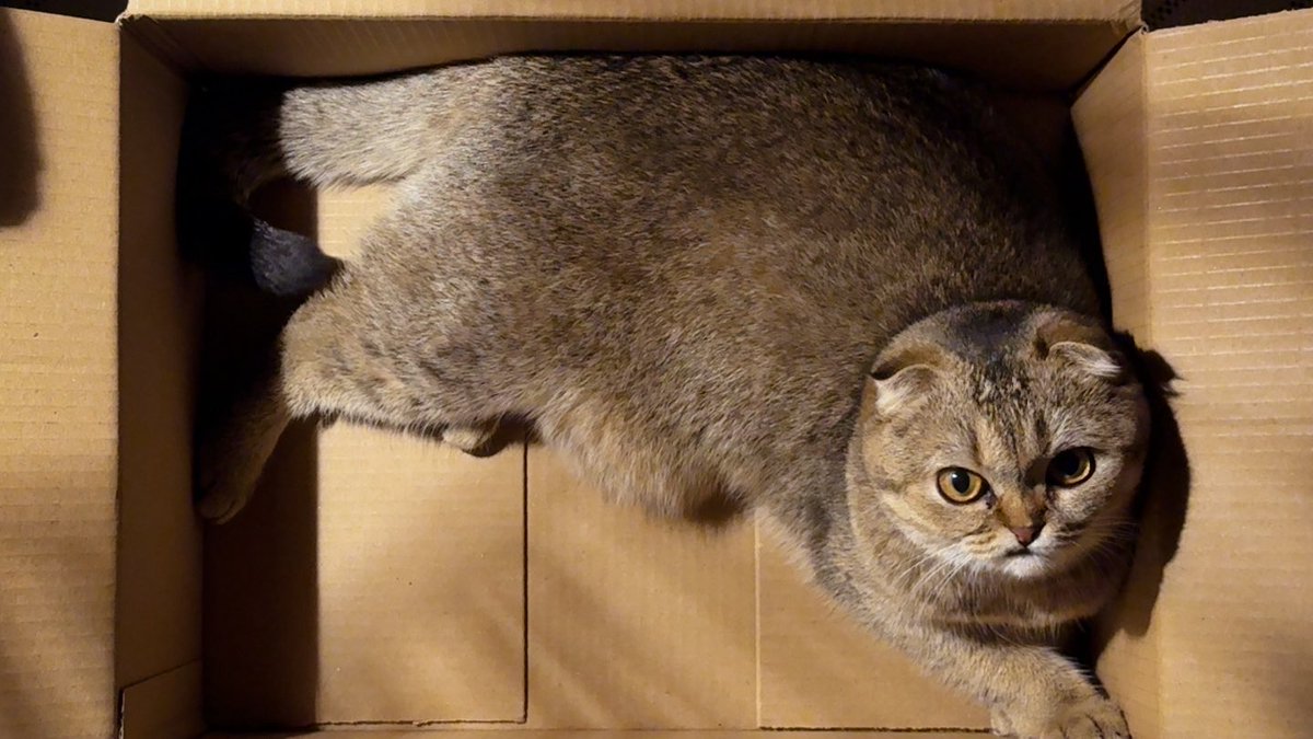 Dan (@1qww) on Twitter photo 