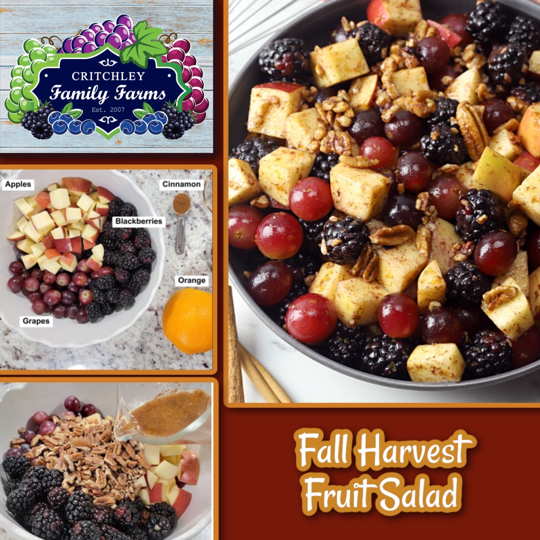 Fall Fruit Salad from Critchley Family Farms brings together juicy grapes, plump blackberries, crisp apples and crunchy pecans—all tossed in a maple-cinnamon-orange dressing that celebrates the season’s best.
Try the recipe: critchleyfamilyfarms.com/recipes/fall-f…