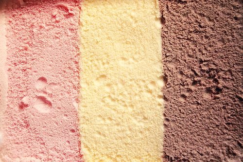 prikittodominho's tweet image. NA SUA OPINIÃO qual sabor estraga o napolitano?