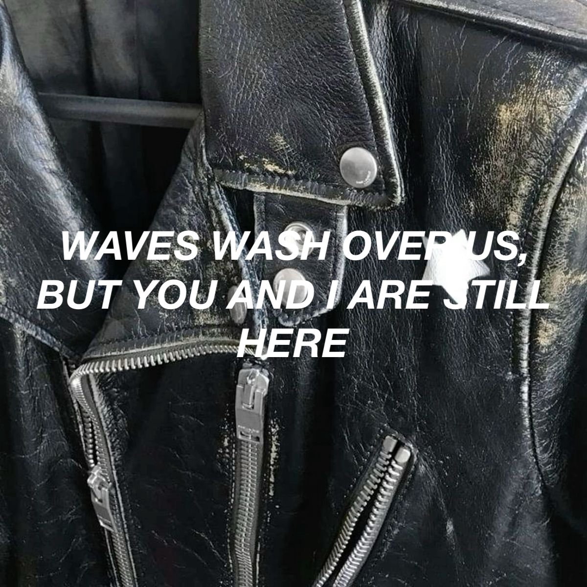 wasteit's tweet photo. everyones a star! lyrics (2016 tumblr version) https://t.co/f3n0Sn7Cu7