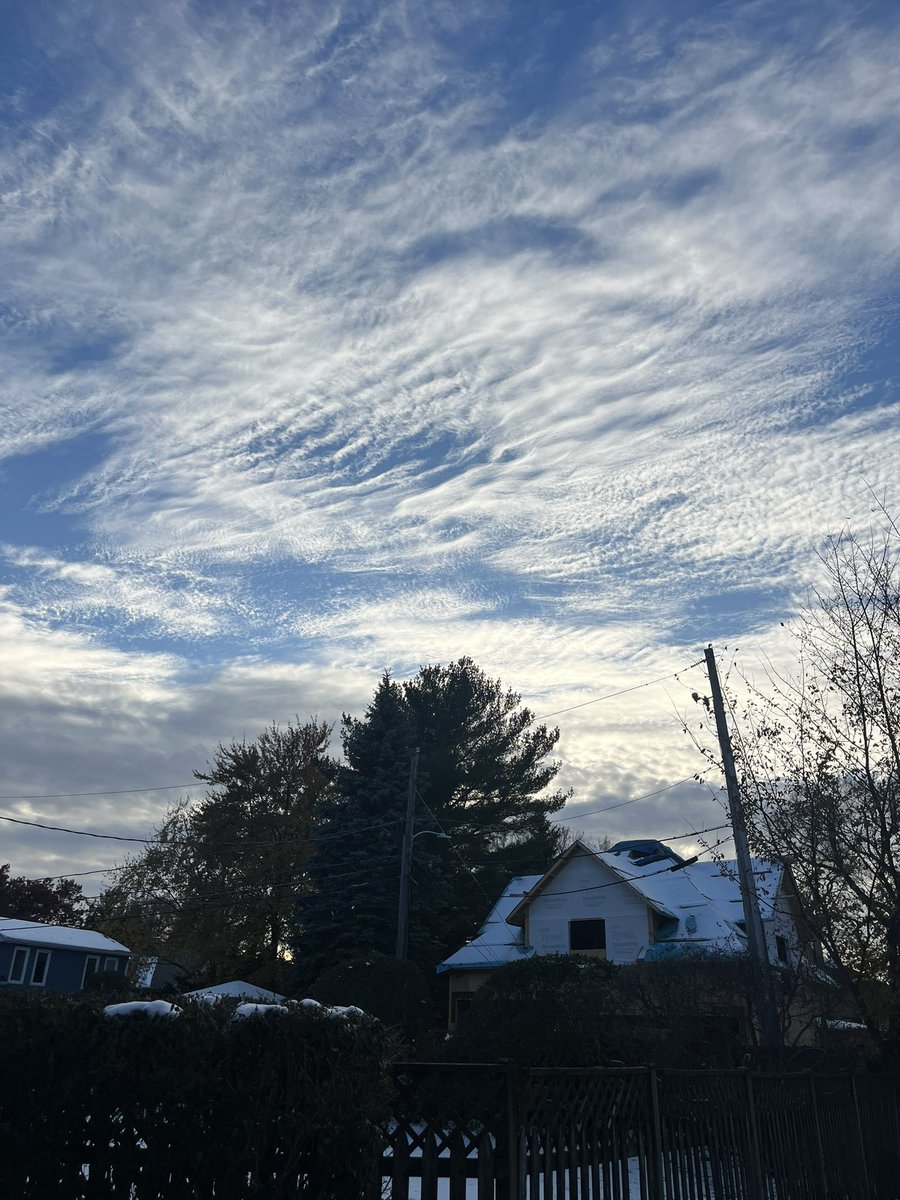 OMG <a href="/naomirwolf/">Dr. Naomi Wolf. 8 NYT Bestsellers. DPhil, Poetry.</a> what the hell is going on??? I am terrified and sad just looking at this. I hate what they have done to us.