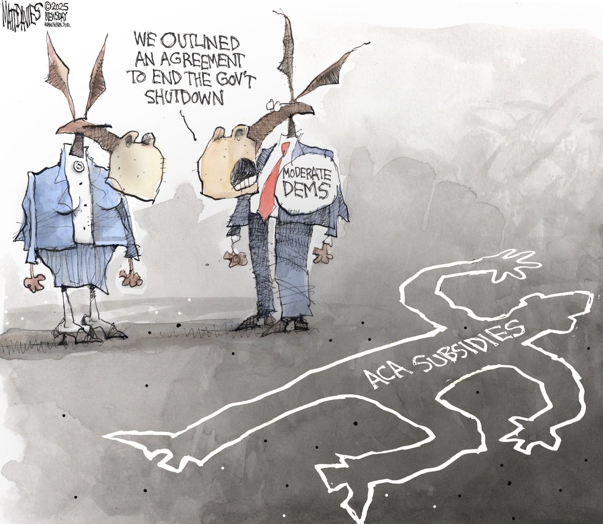 Matt Davies tweet media