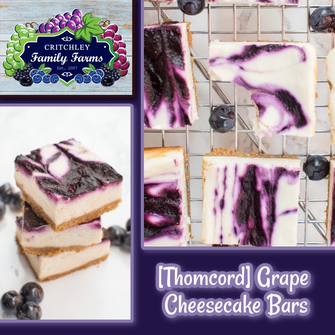 Indulge in a sweet twist on dessert w/[Thomcord] Grape Cheesecake Bars, crafted using grapes direct from our fields! Creamy cheesecake meets juicy grape topping on a buttery graham-cracker crust — the perfect treat for any gathering or cozy night in.
critchleyfamilyfarms.com/recipes/concor…