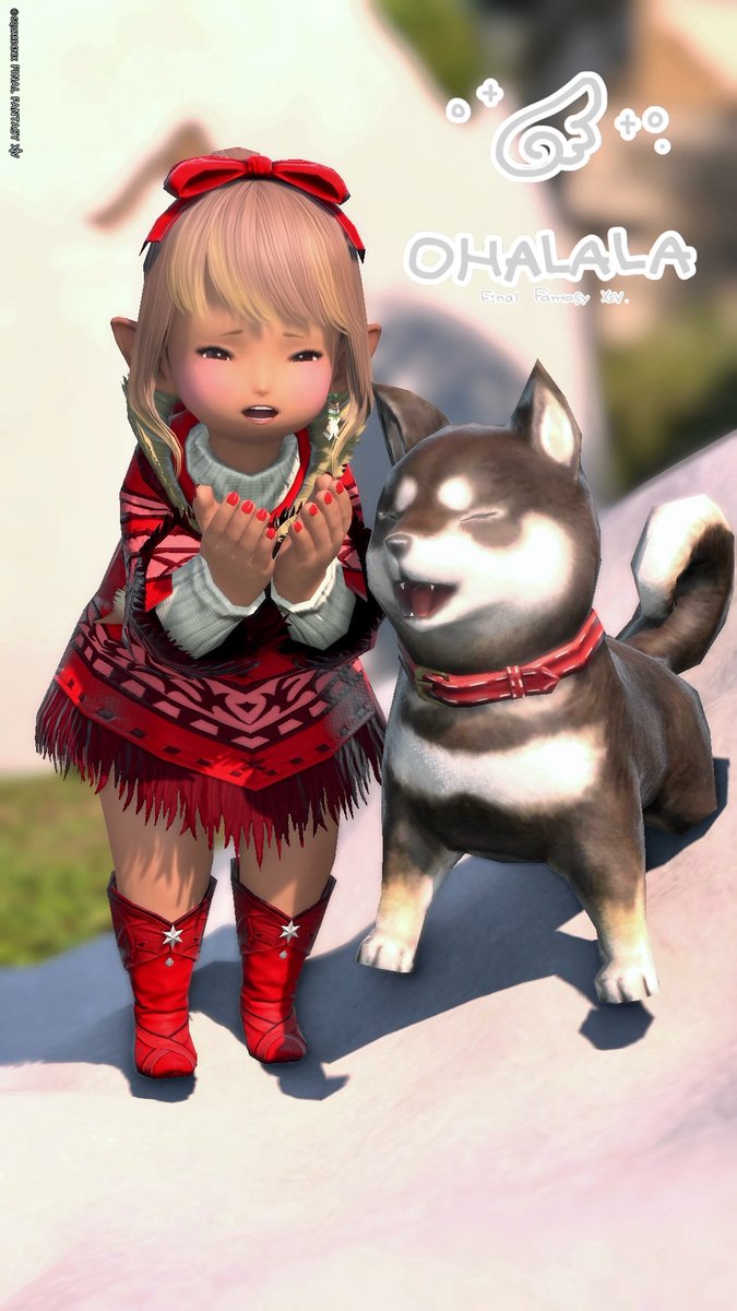 𝕏𝕚𝕒𝕝𝕪(しありー)🎨 (@Neko_attack) / Posts / X