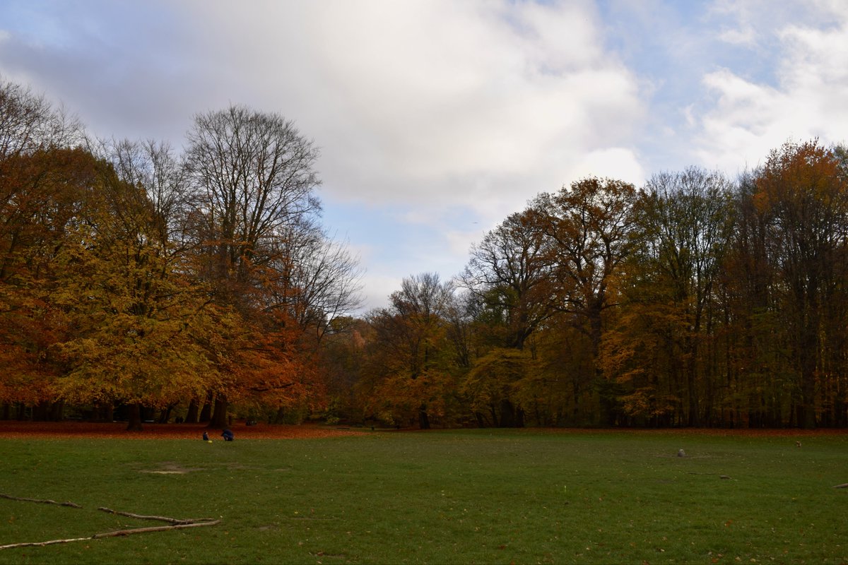 https_ayoub's tweet image. 