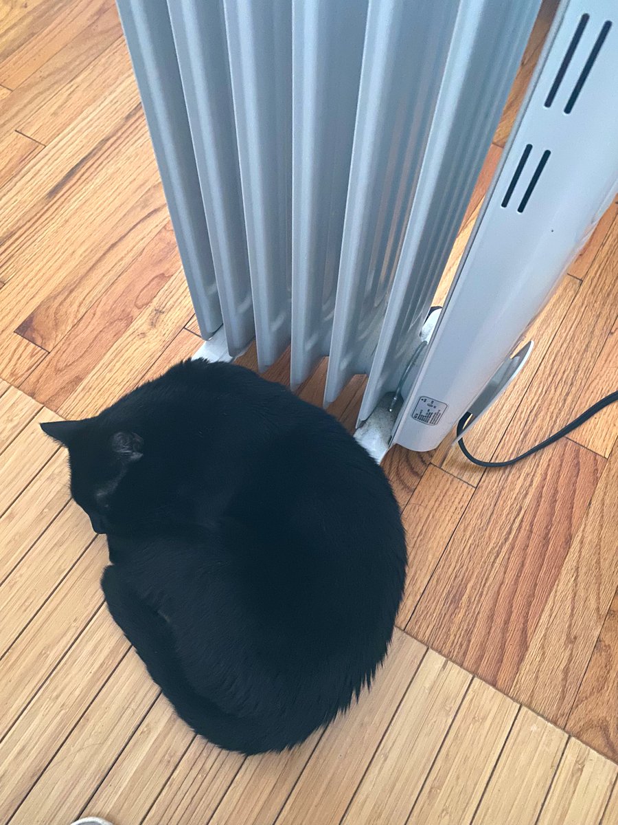 Same gatito same 🥶