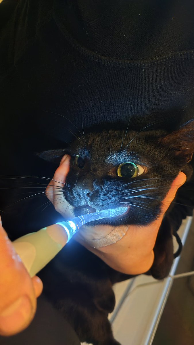 THE きらら氏 (@kirarakoubou397) / Posts / X