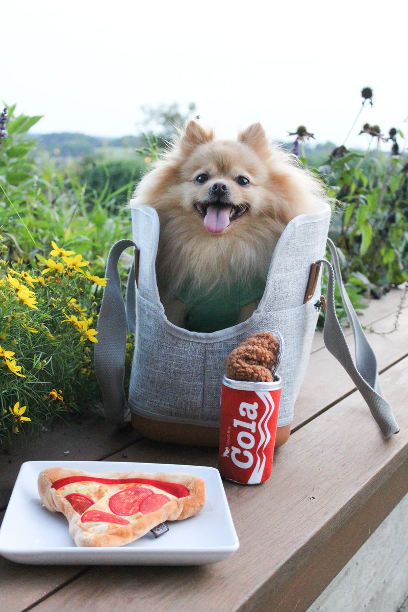 WinstonNRichard's tweet photo. Warning: might steal your pizza and your heart 💖🍕
snack attack dog toy collection: https://t.co/U0aV6pm9WT

#dog #pomeranian #amazonaffiliate https://t.co/2XtZxDHRip