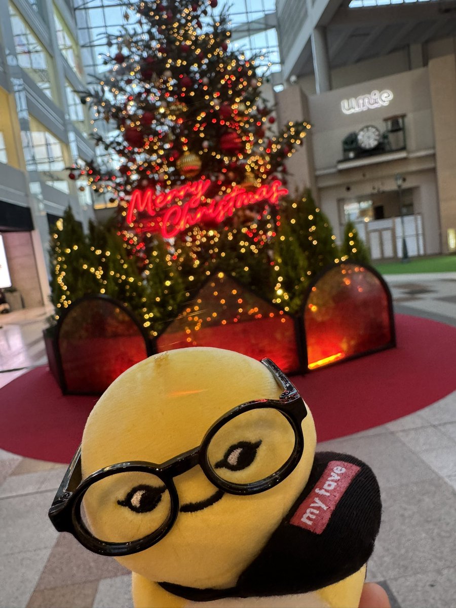 しぇいこん (@jyugonwife) / Posts / X