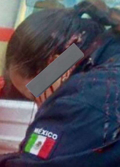 bastasosrelind0's tweet photo. @josuealeexis México: Descripción gráfica https://t.co/xMk1fnVoEY