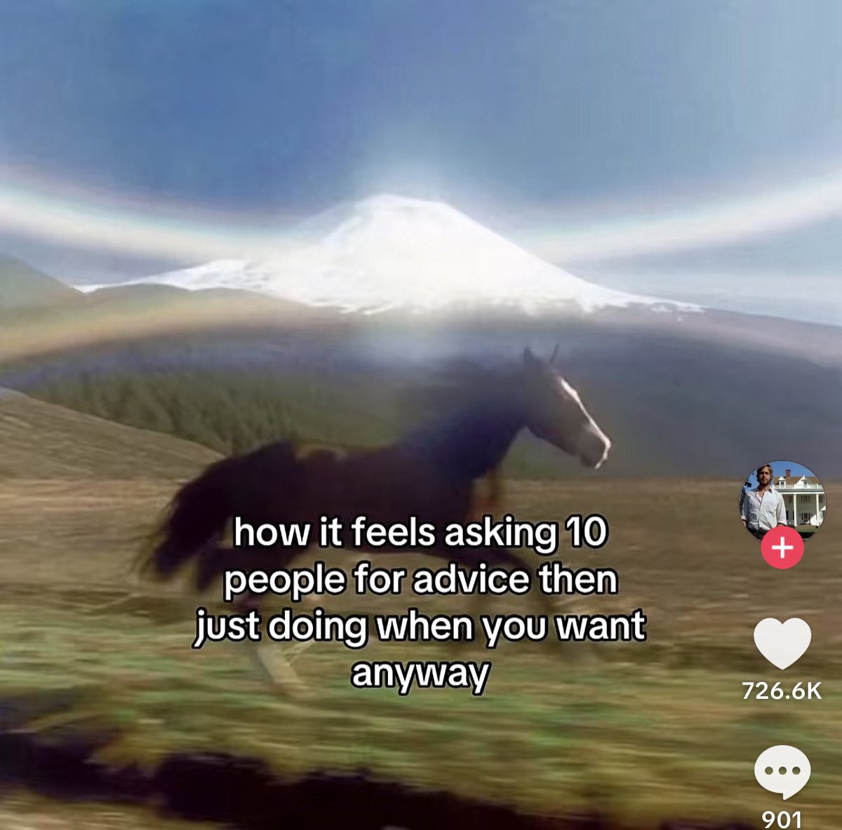 annoushkaxyz's tweet image. crushing it on tiktok