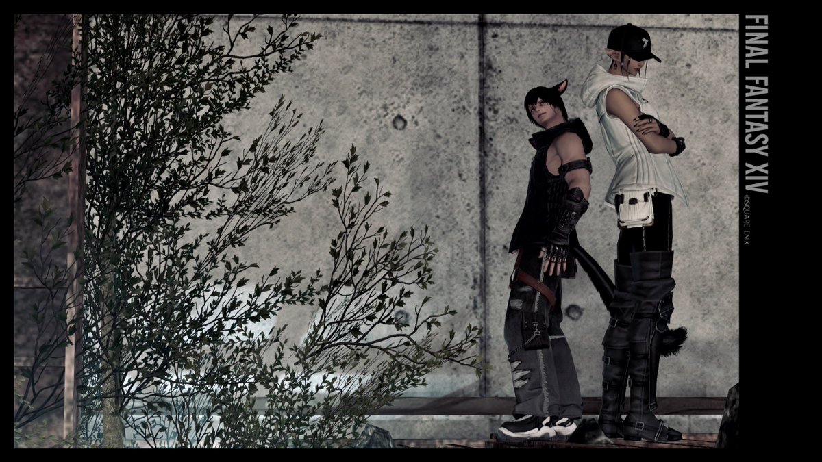 NiaXgame's tweet image. るーさんスタジオ遊びに行ってきた②
はじめてオスッテとペア撮りしたんだけど、種族特有の立ったり座ったりの仕草が良くて耳触って頭グイッてするのめっちゃかわいいかった🐈‍⬛縦撮りもいっぱいあるので明日から1枚づついきます𓂃 𓈒𓏸
#FF14SS #CS_R_PLUS