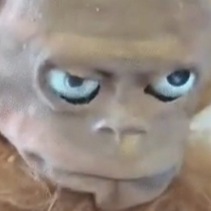 ainternetfrog's tweet image. wtf is you eating @AntDavis23 😂😭😂😭😭