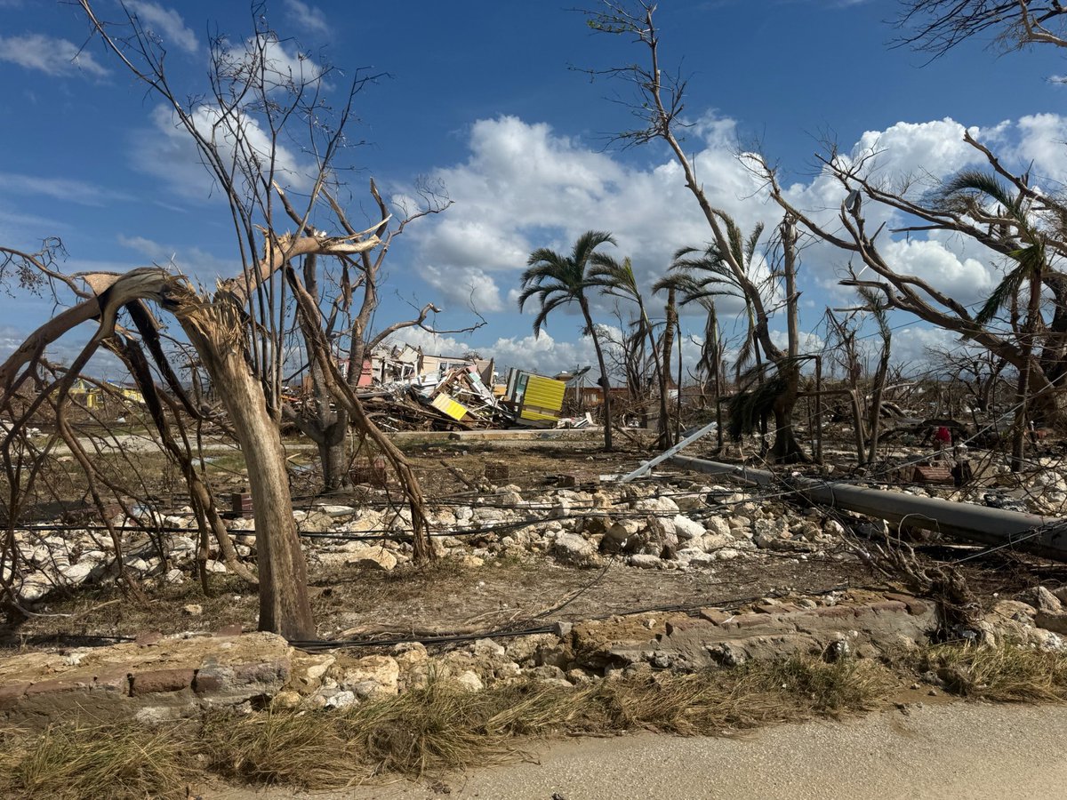 Susana Sottoli tweet media