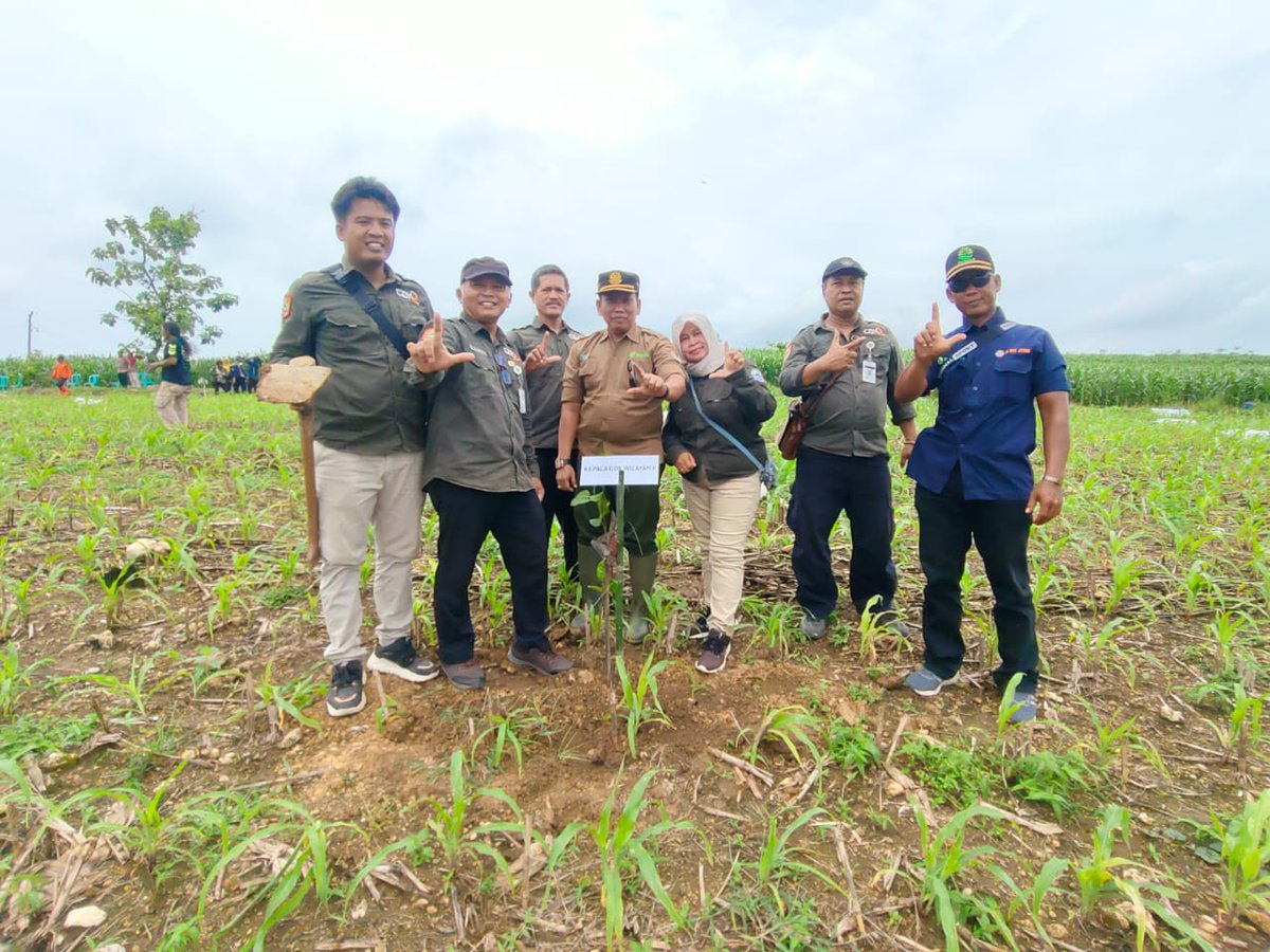 Giat menghijaukan kembali pegunungan kendeng bersama Bupati Pati, Forkompimda Pati, BPBD, CDK,II, pegiat lingkungan dan masyarakat lereng kendeng di Desa Gunungpanti, Winong, Pati #kendenghijau
<a href="/dlhkprovjateng/">Dinas Lingkungan Hidup dan Kehutanan Prov Jateng</a> 
<a href="/DwiCahyoPurnom8/">Dwi Cahyo Purnomo</a> 
<a href="/PemkabPati/">Pemkab Pati</a>
