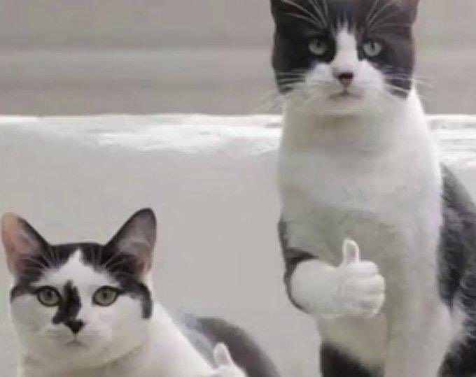 Get me <a href="/9ine/">9ine</a>

I no longer consume flour. <a href="/XHandles/">Handle Marketplace</a>