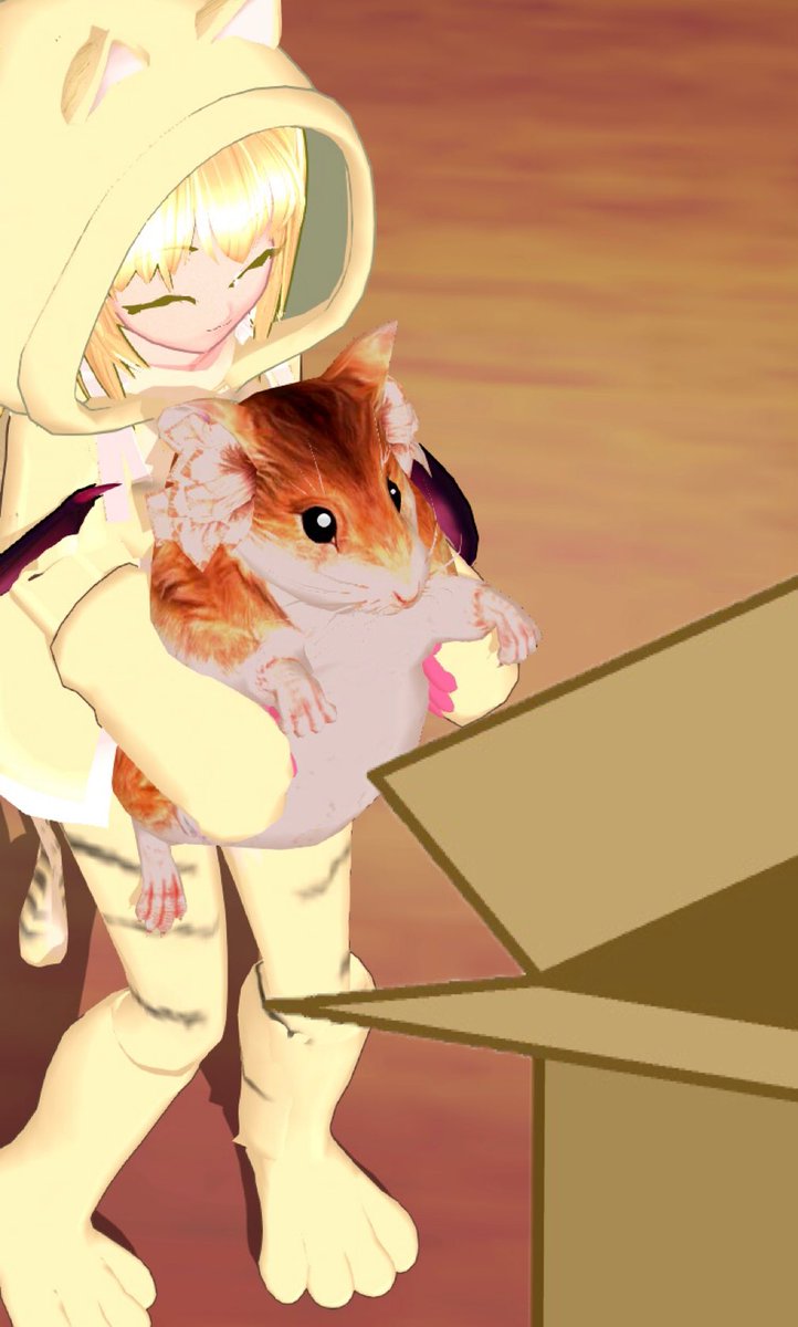 最低猫 (@L48Rx) / Posts / X