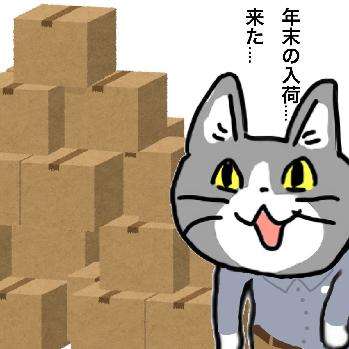 ⌘柴っこ　プチ断捨離中⌘ページてます。 ウチ、“断捨離”しました！ 11月4日(火)放送分 「愛知発 やめたい