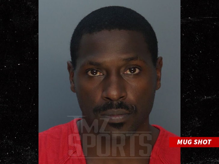Antonio Brown was captured walking off a jet in Miami as he prepares to go on trial for attempted murder.

Details: tmz.me/zQYpMLY
