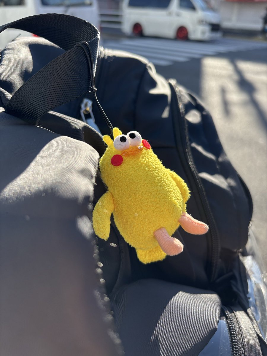 ぽいんこ ポインコと山歩き🐥🐥🐾 (@paopaopanda_jp) / Posts / X