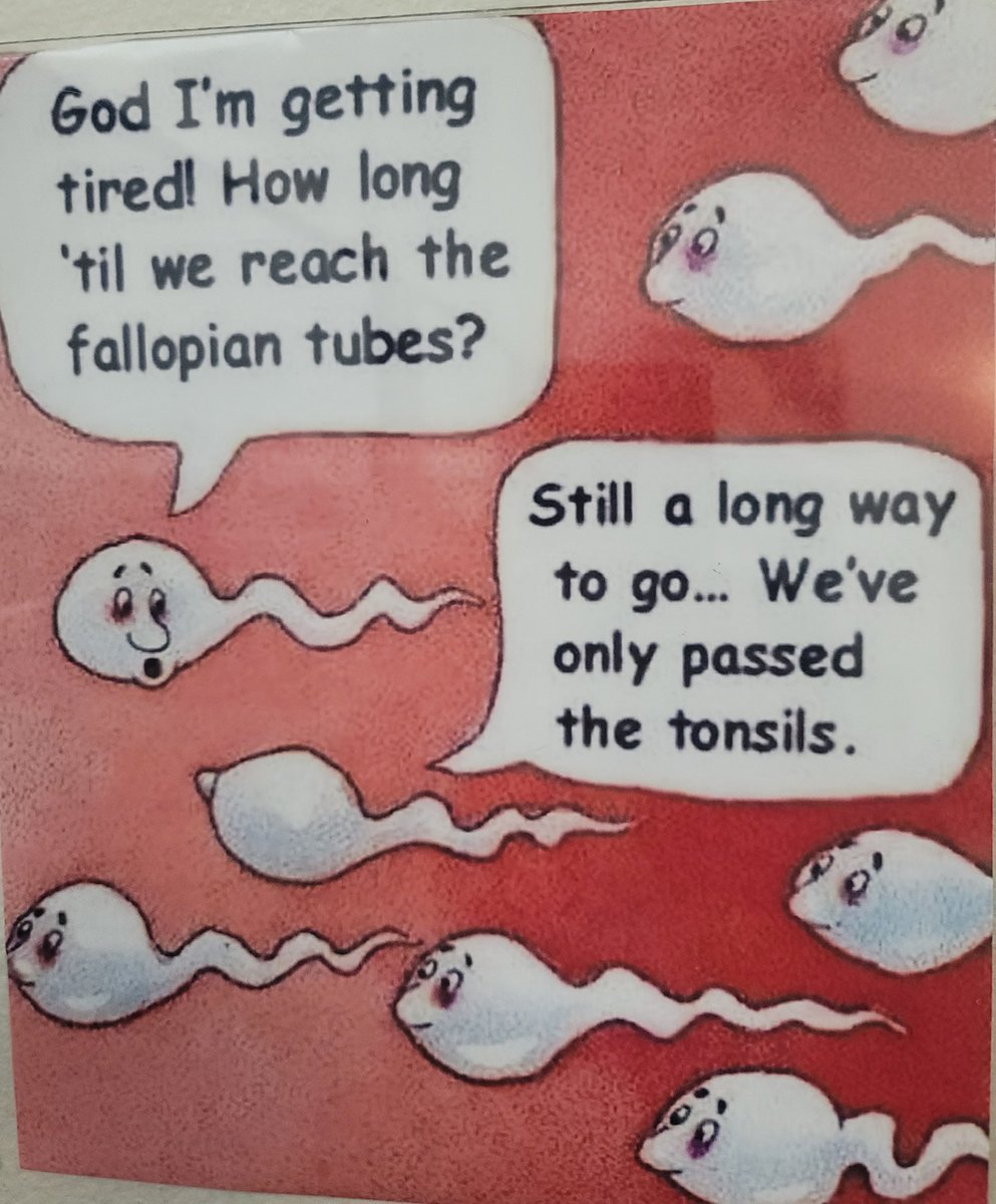 chris_embree's tweet image. I&apos;ll just leave this here