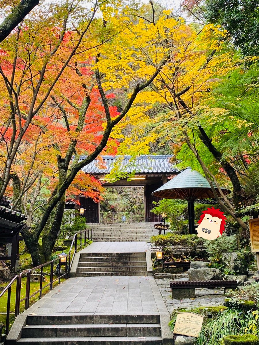 FSengineering_0's tweet image. おはようございます♪
今日の　#長岡市　曇り☁️です。

先日、知人が佐渡へ行ったようで
画像が送られてきました✨

世界遺産に登録されてから
注目が集まっている新潟の観光名所⛰️

行ってみたいなぁ🤣

#企業公式
#イマソラ
 #企業公式相互フォロー 
#佐渡金山