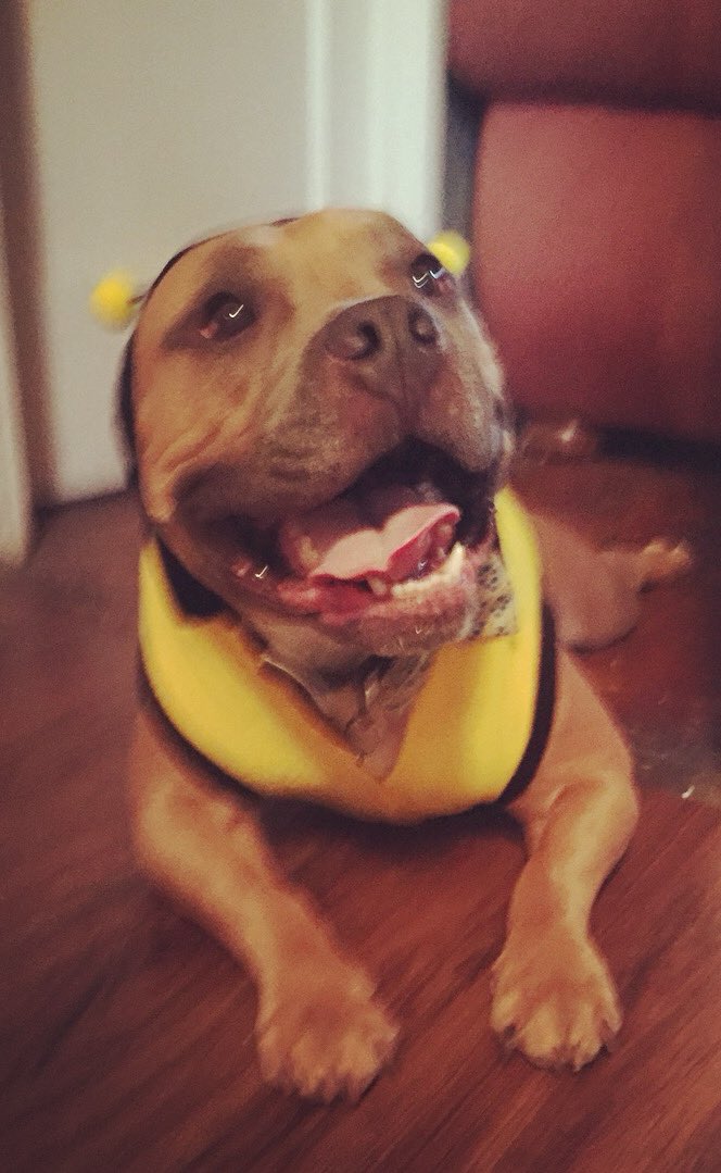 🌷 LIZZIE🌷 tweet media