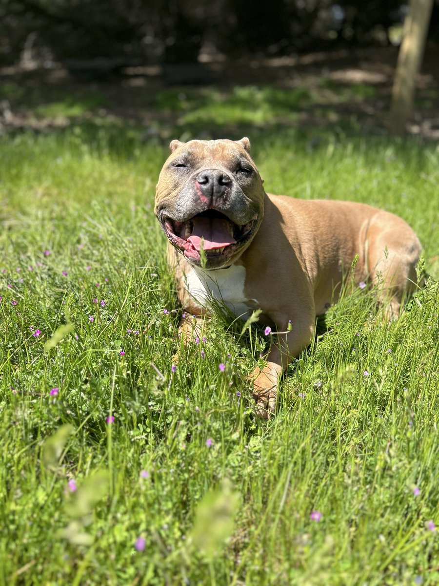 🌷 LIZZIE🌷 tweet media