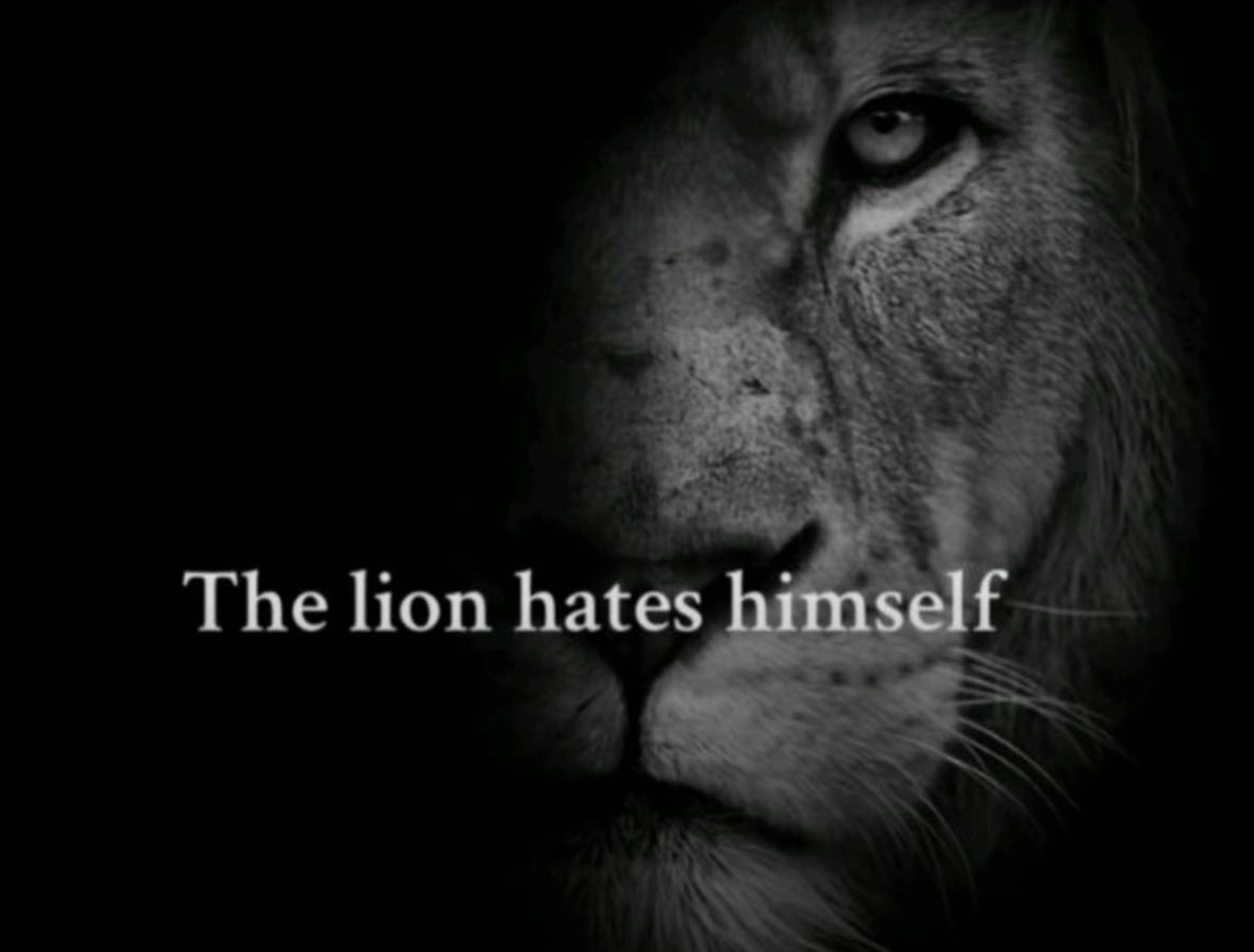 Played Overwatch today